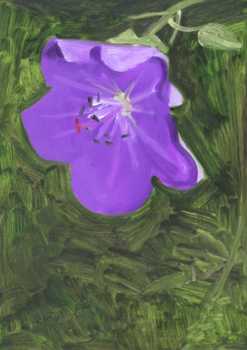 Lois Dodd
Purple Flower, 2014
Oil on aluminum flashing
7 x 5 inches